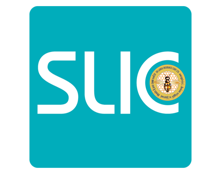 Untitled design (57)